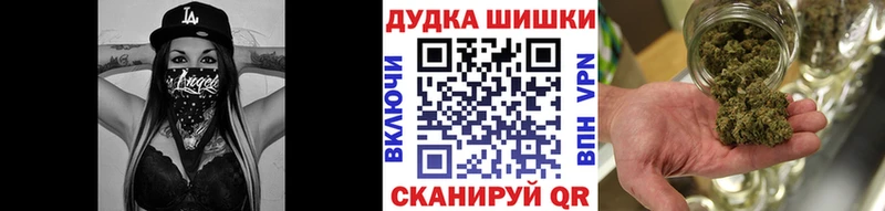 Бошки Шишки гибрид  Пошехонье 